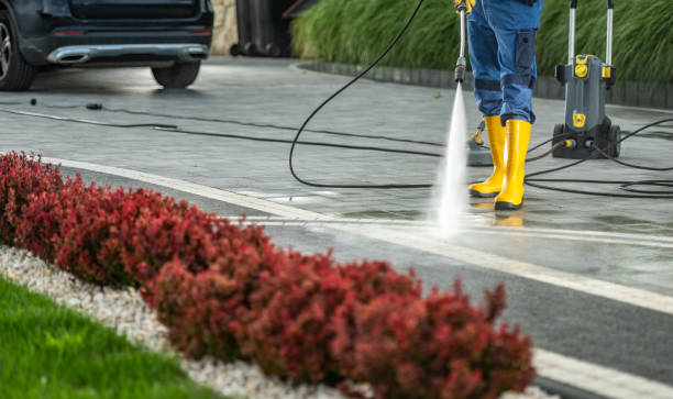 Best Driveway Pressure Washing  in , DE
